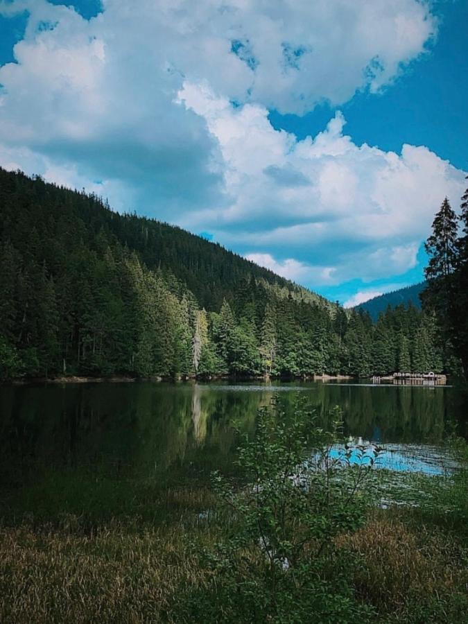 Chalet Borzhava Zúgó Kültér fotó