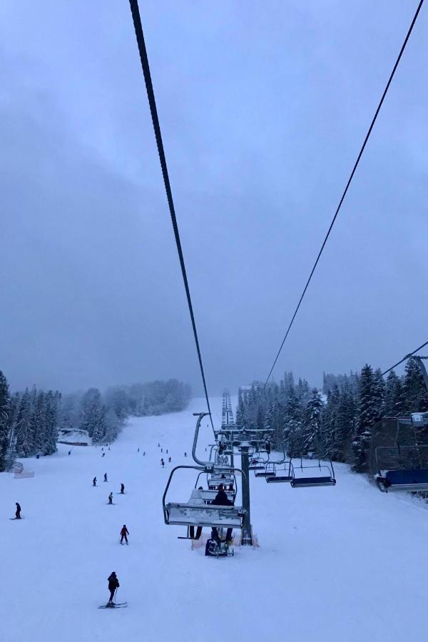 Chalet Borzhava Zúgó Kültér fotó